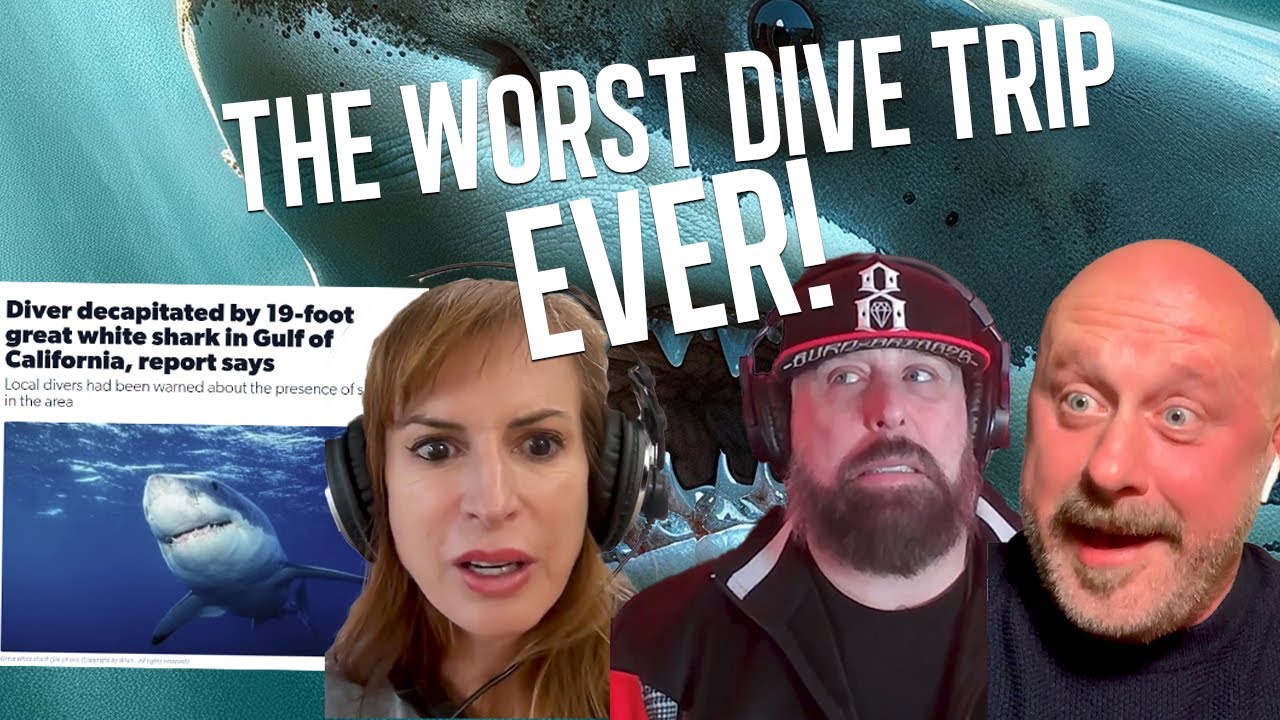 Ep 8: Shark, Bear or Bullet?? The WORST dive trip ever!