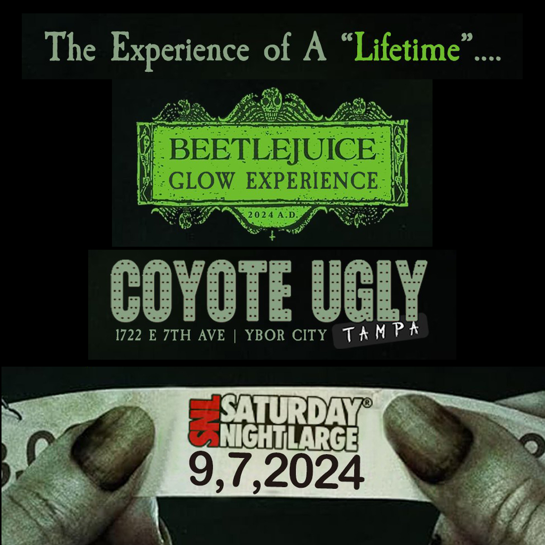 Tampa: BEETLEJUICE Glow Experience: September 7, 2024