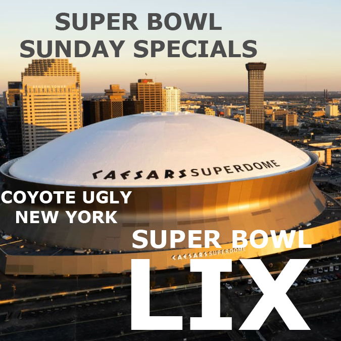 New York: Super Bowl Sunday: February 9, 2025